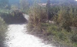 IMAG0547