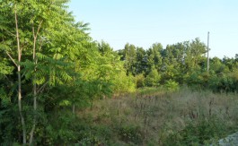 P1080756