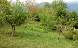 2ac8b6c0-d580-483f-aec8-491e640ca140