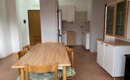 0d103bc9-b4a3-4b98-8edc-eeff86a8365b